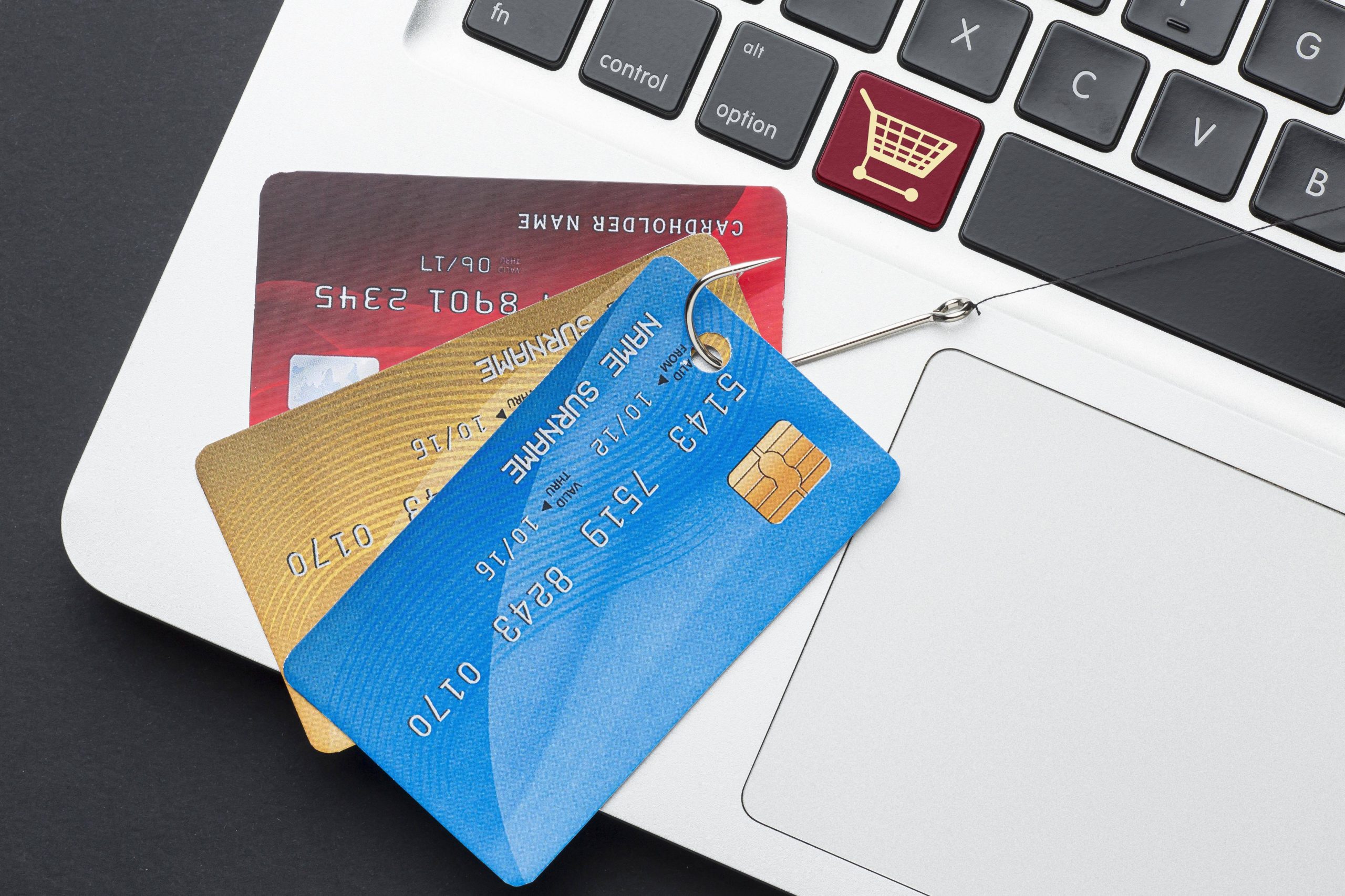 check-ebt-card-balance