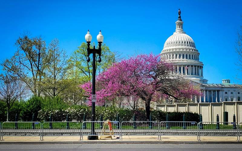 free-things-to-do-in-dc-1