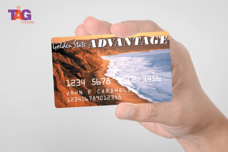 snap ebt card