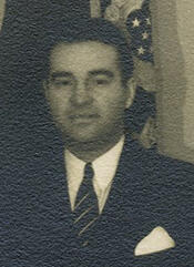 Representative Matthew Joseph Merritt - New York Democratic