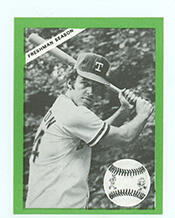 Representative Alan Watson Steelman - Texas Republican