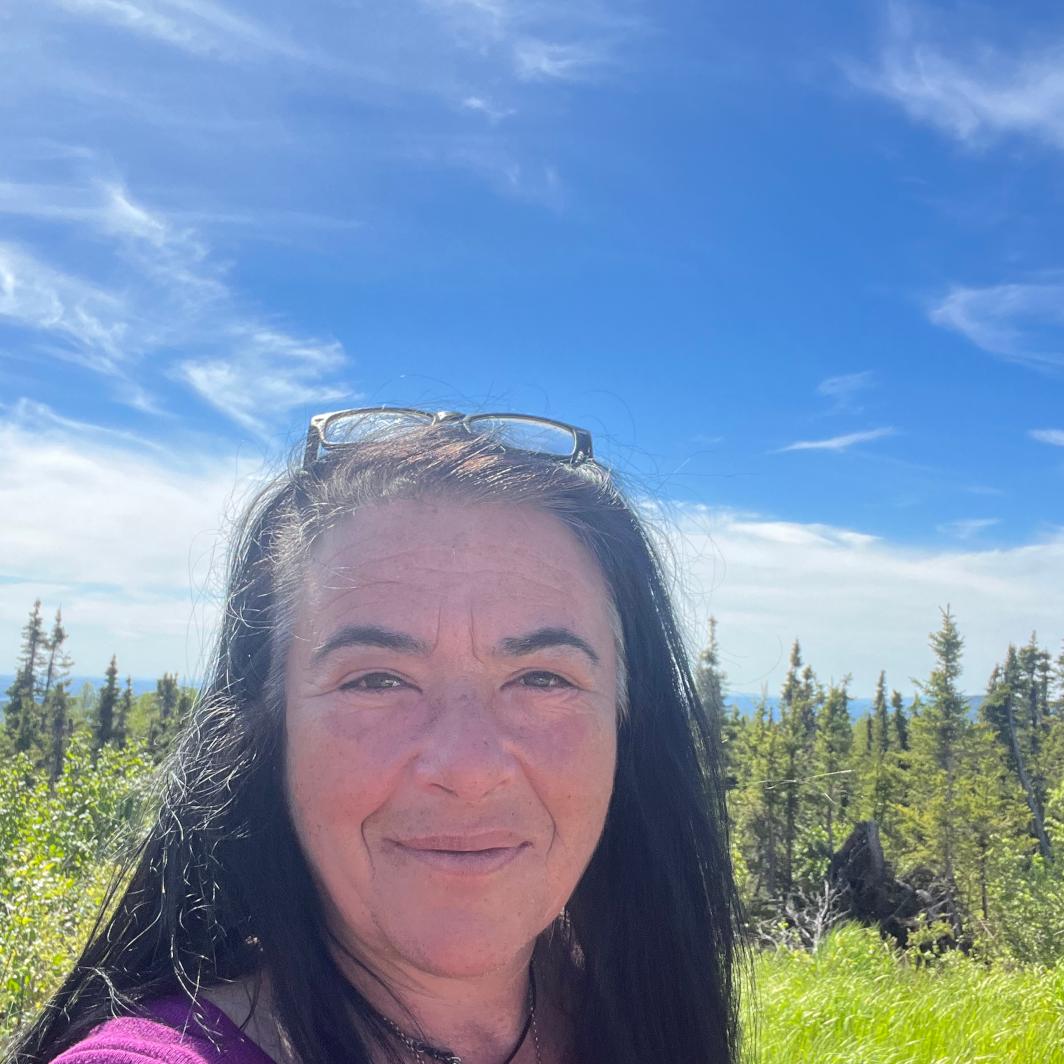 Ann Diener For U.s. Senate 2026