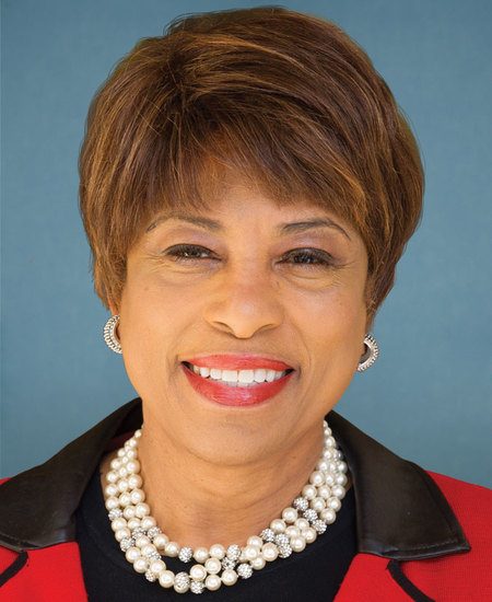 Representative Brenda L. Lawrence - Michigan Democratic