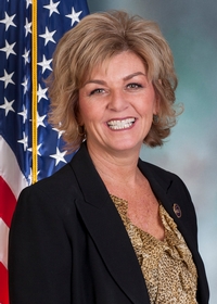  senator Mindy Fee