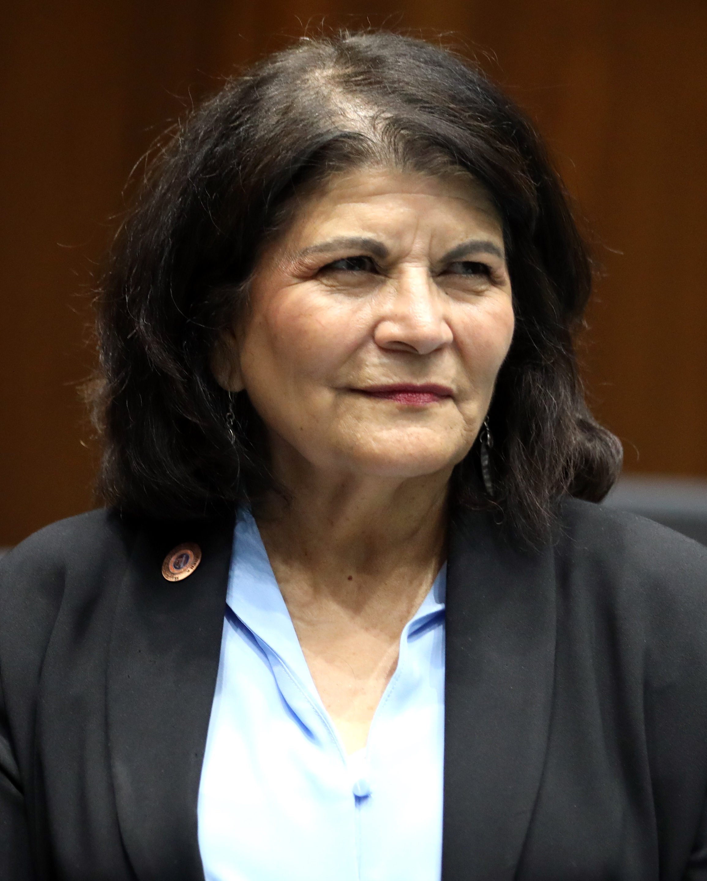  senator Betty Villegas