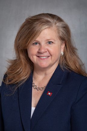  senator Rebecca Burkes