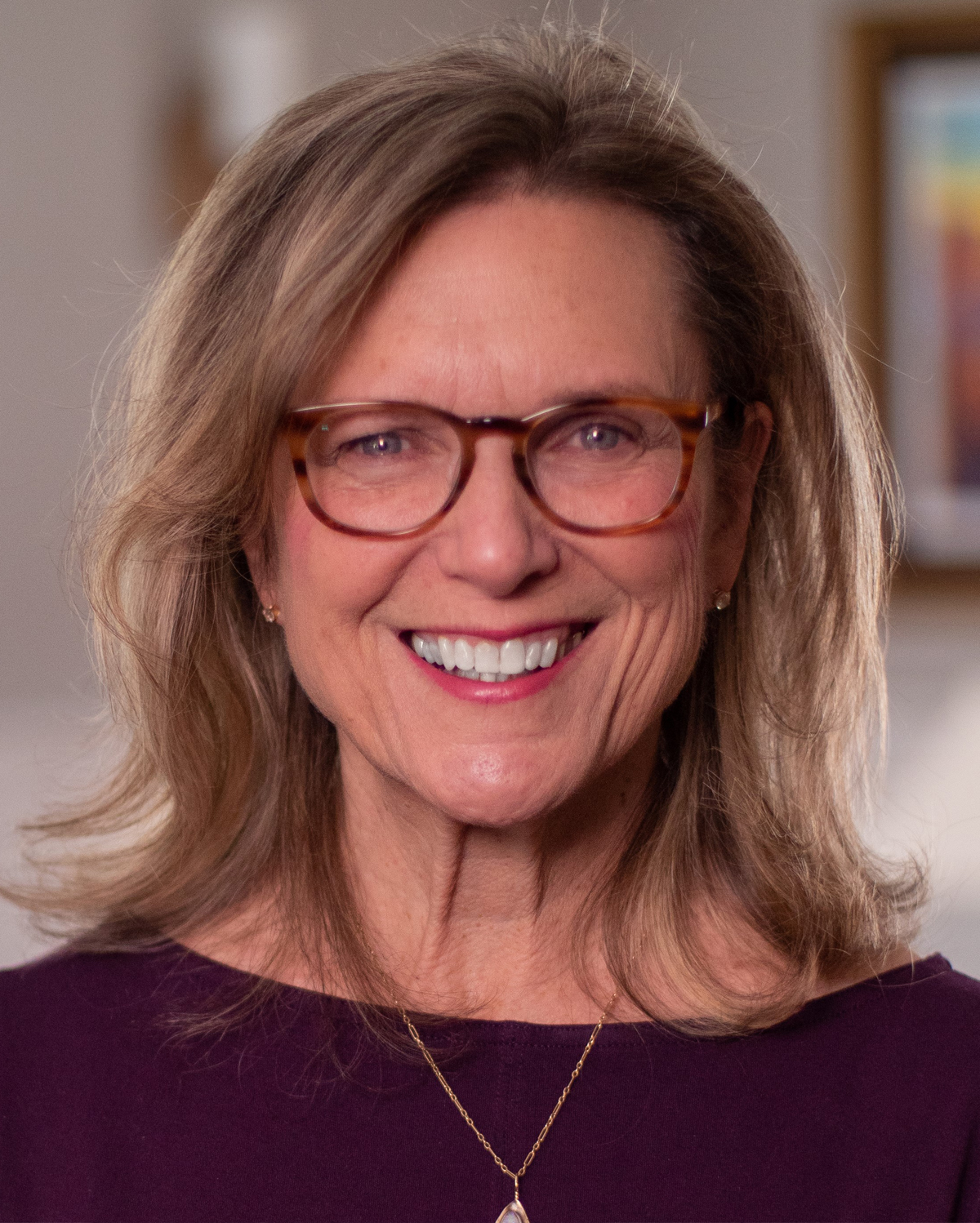  senator Julie Kushner