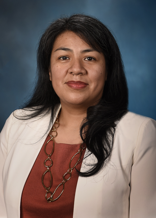 Representative Angie Guerrero-Cuellar - Illinois Democratic