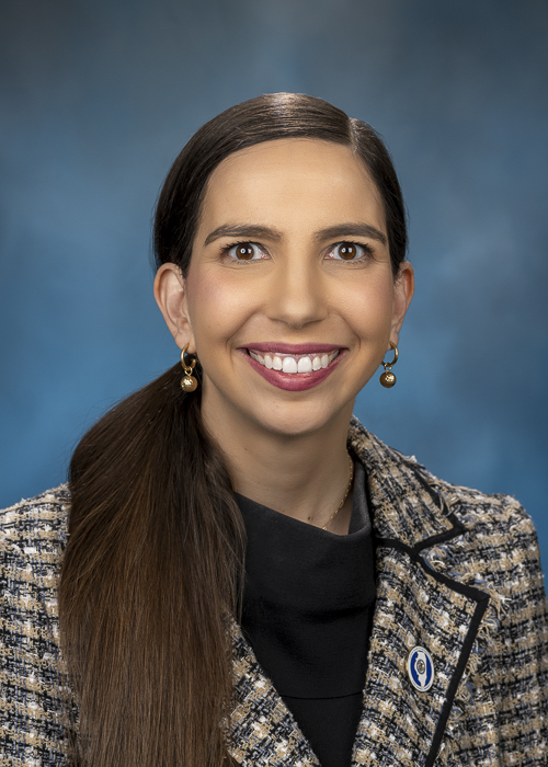 Representative Anne Stava - Illinois Democratic