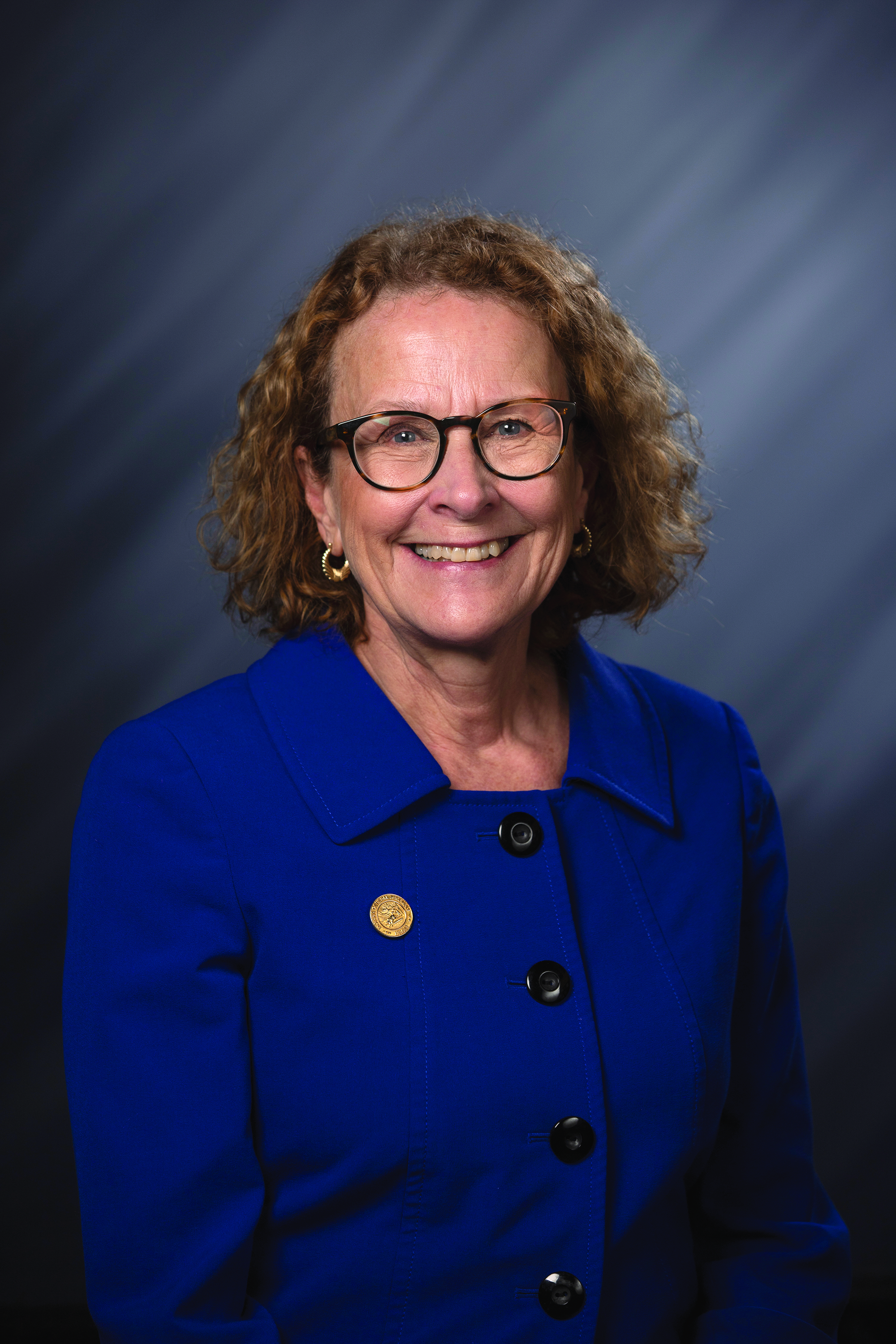  senator Donna Schaibley