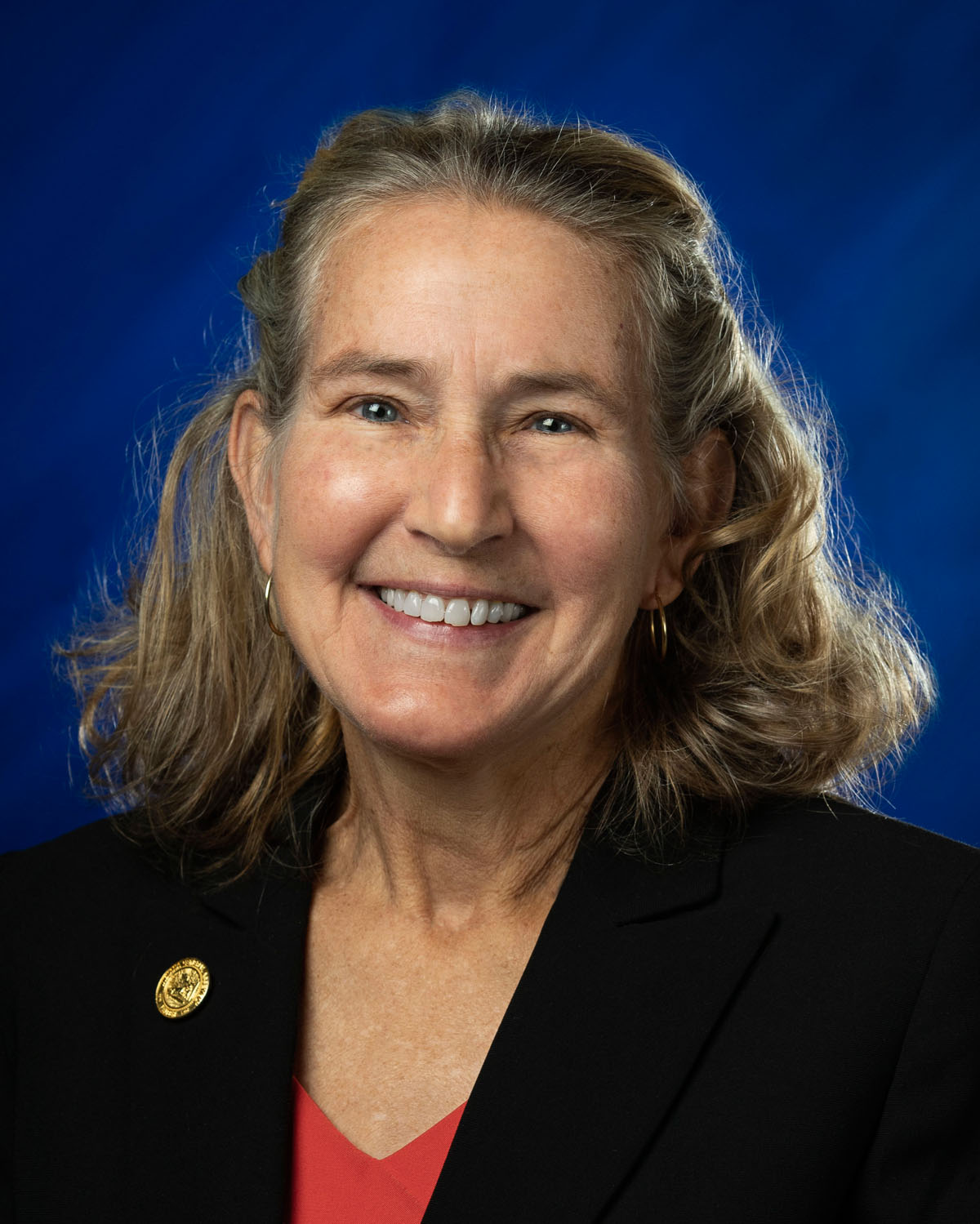  senator Karen Engleman