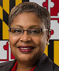  senator Debra Davis