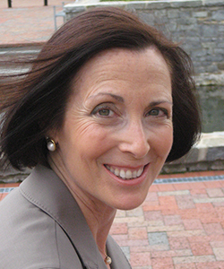  senator Karen Lewis Young