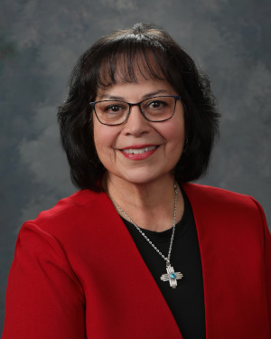 Representative Debbie Sariñana - New Mexico Democratic