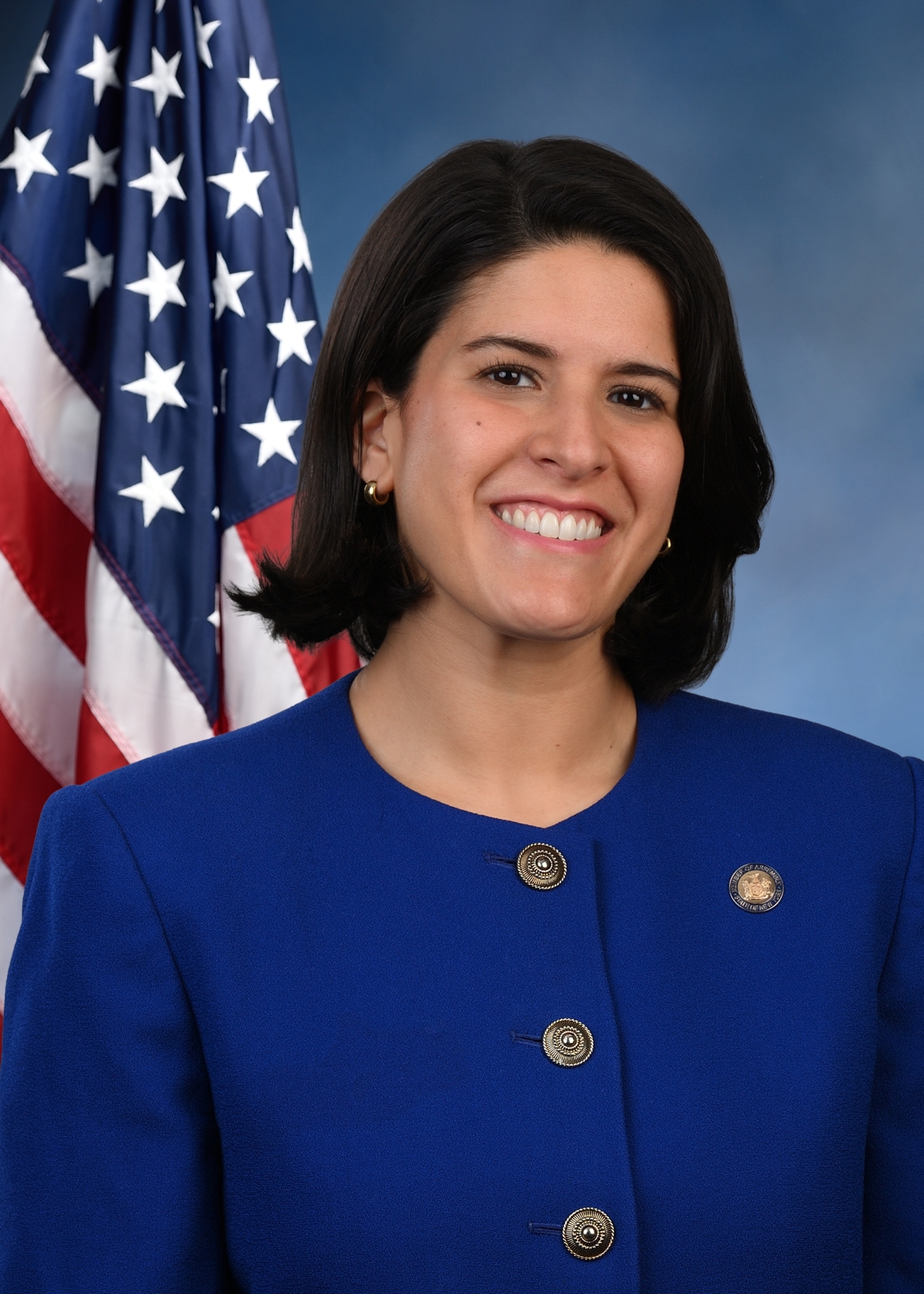 Senator Pat Fahy - New York Democratic